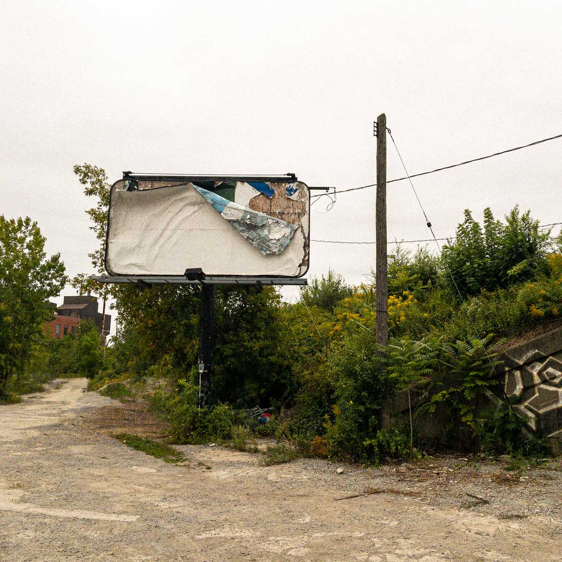 Peeling Billboard - One Square Foot